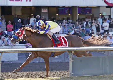 Si That Tiger snaps Slew's Tiz Whiz's Governor's Stakes streak