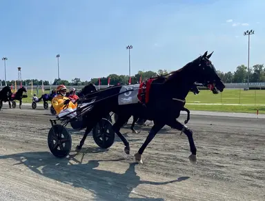 Yonkers: Diva Ek back for revenge in MGM Yonkers International Trot