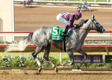 After Sweet Azteca's easy score, Baltas tries two Grade 1s this week