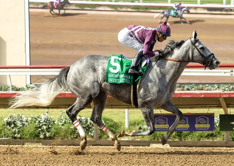 Sweet Azteca wins Rancho Bernardo at DMR Aug 16 2026