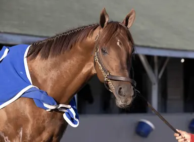 Streaking Lagynos gets one more start on favorite course in Wise Dan