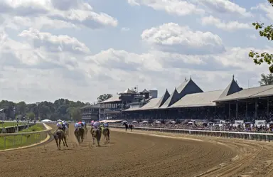HISA will form committee to determine if more artificial surfaces would lower equine fatalities