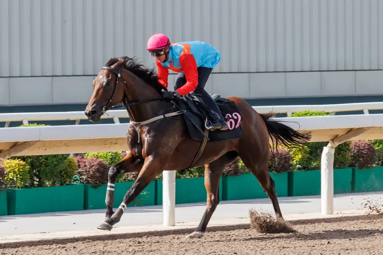 20250822_Pic-1-22-August.jpg