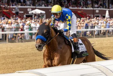 National Treasure, Dornoch add to Spendthrift Farm's classic roster