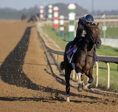 Breeders' Cup Juvenile Fillies: Emphatic can land Walsh his elusive victory