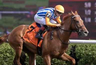 Attfield likely to kick off year in Battaglia Stakes