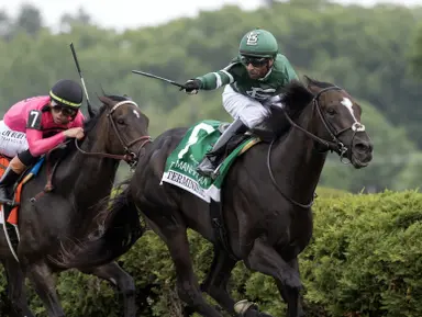 Fourstardave runners in for a fight in ultra-classy bout