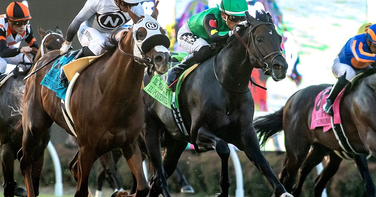 El Potente, a hard-trying third in the Del Mar Mile, is being pointed to City of Hope Mile