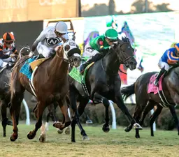 El Potente, a hard-trying third in the Del Mar Mile, is being pointed to City of Hope Mile