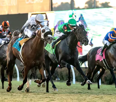 El Potente, a hard-trying third in the Del Mar Mile, is being pointed to City of Hope Mile