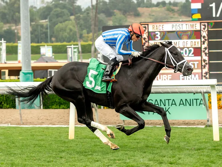Bust Out wins Cinema Stakes at SA May 17 2026
