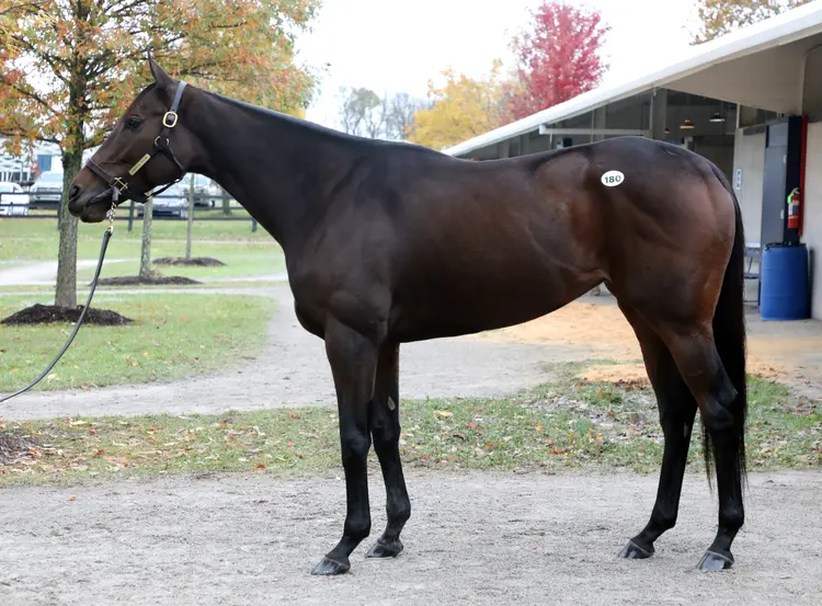 FTSALE.Hip180.Daddys Lil Darling01.11-4-18.FT_.jpg