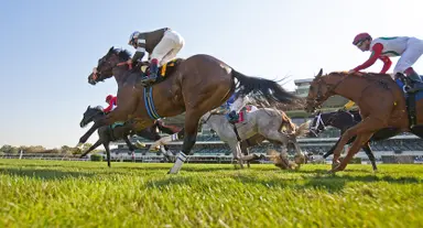 DRF's Horse Racing Playbook for Friday, July 7