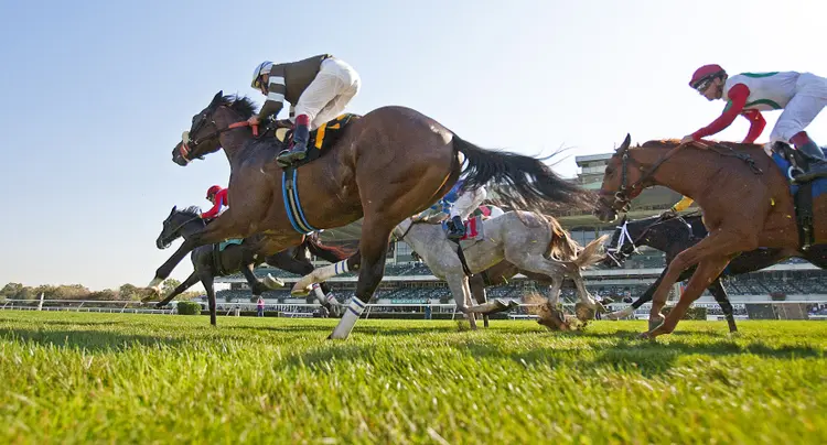Belmont turf racing 2011