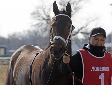 DRF's Horse Racing Playbook for Wednesday, Aug. 19, 2026
