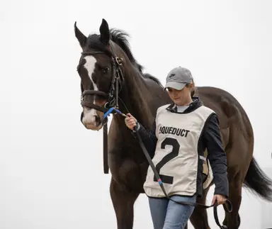 Allard tempted to give Quint's Brew a rare summer start