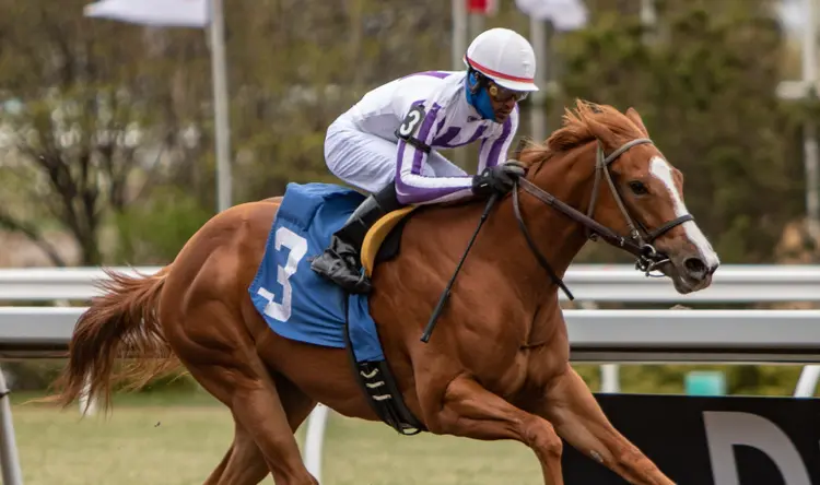 Botta Swing wins maiden at WO May 1 2022