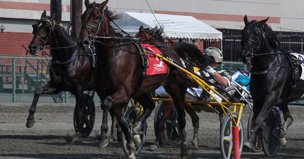 Yonkers: North American-based trio complete International Trot field