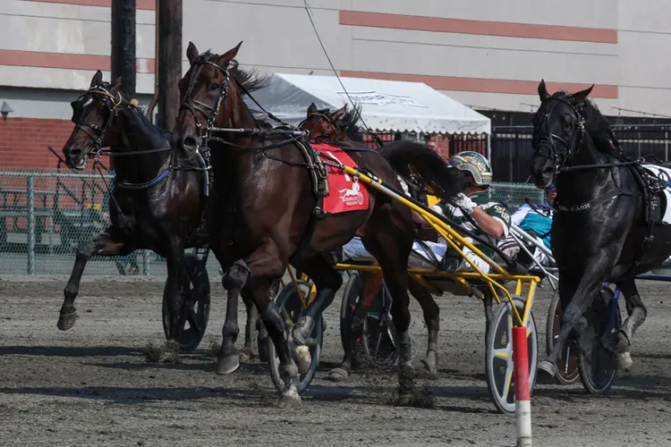 Lexus Kody_YR Int Trot_sep13_Lizzi