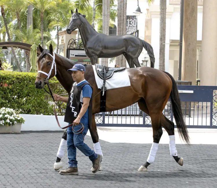 Fierceness.Cigar statue at GP March 27 2024