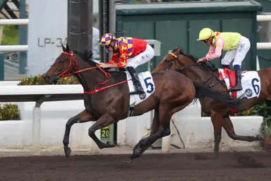Danny Shum posts double as Romantic Warrior prepares to chase history in G1 LONGINES Hong Kong Cup