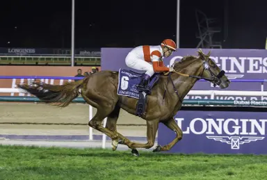 Former Japanese Derby champs huge factors in Osaka Hai