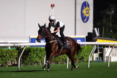Ka Ying Rising cruises through Sha Tin gallop ahead of travel to Australia