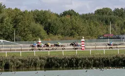Parx Racing begins turf course renovations