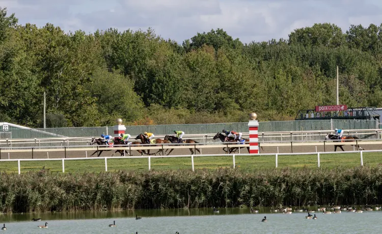 Parx Racing scenic.up the backstretch.09-20-25.DRO_.jpg