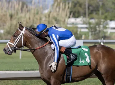 Calhoun goes for second-generation Indiana Derby win with Our Moneyman
