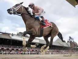 Tricky Business leads start to finish in Albany Stakes