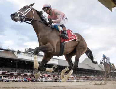 Tricky Business leads start to finish in Albany Stakes