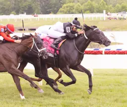 Hark Theangelssing beats crowd at wire in Stormy Blues Stakes