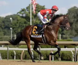 Minaret Station takes on tough group in rescheduled Joe Hirsch Turf Classic