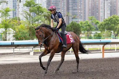 Royal Ascot 2026: Pair of foreigners have strong chance in Queen Elizabeth II Jubilee
