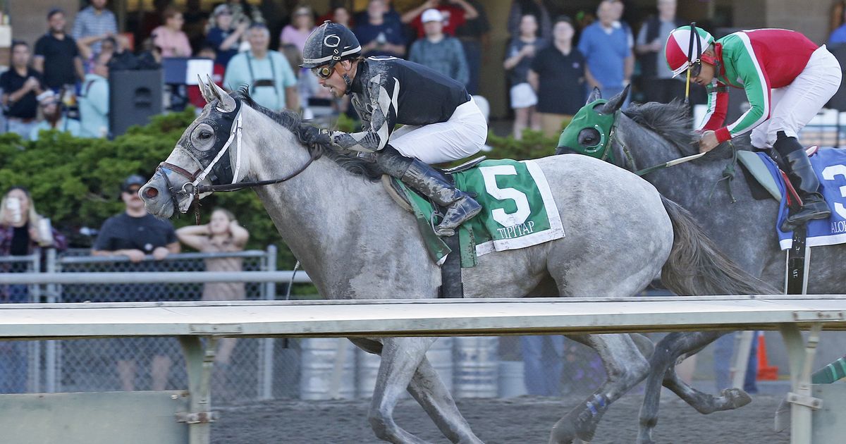 Tipitat spoils Aloha Breeze's perfect season with Muckleshoot Tribal Distaff triumph