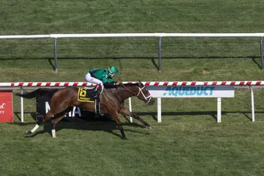 Highway Harmony sets course record in winning final Aqueduct stakes race
