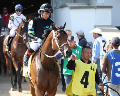 Doncho bounces back to win Mighty Beau
