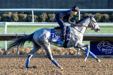 San Felipe contenders all have questions to answer