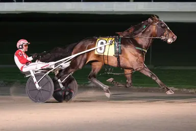 Yonkers:  John Brennan Trotting Series gets underway