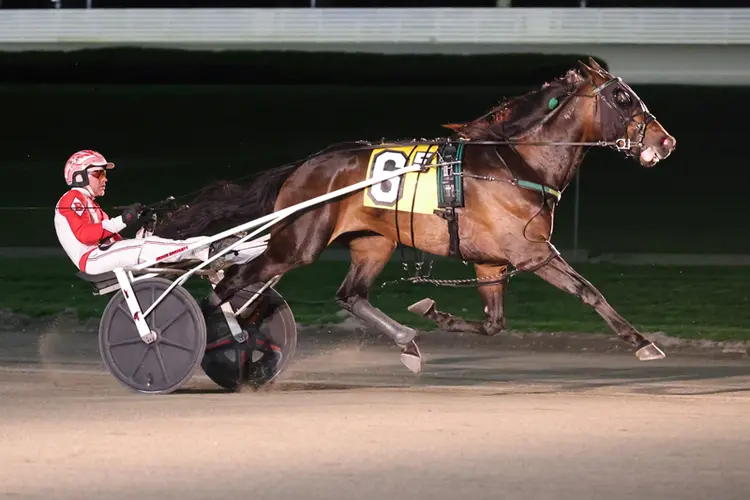 Top Gun Hanover 4-1-26