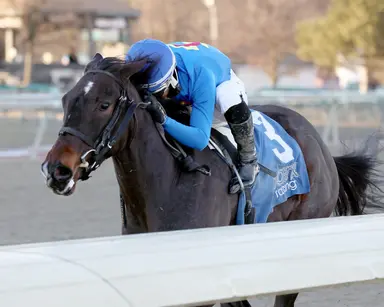 Niche gets a class test off maiden score