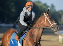 Irad Ortiz Jr. ‘off until futher notice’ due to injury