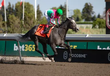 Luster establishes herself the King's Plate favorite with Woodbine Oaks romp