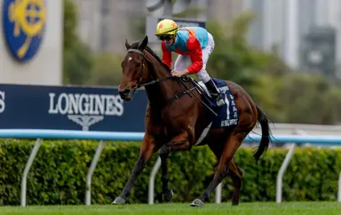 David Hayes supremely confident with Ka Ying Rising ahead of G1 Centenary Sprint Cup