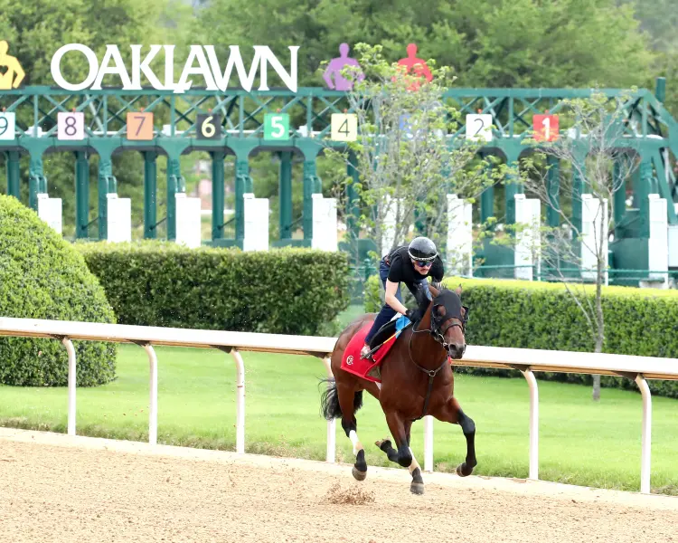 Silent Tactic - Work - Oaklawn Park - 04-12-26 - 001 - Renee Torbit.jpg