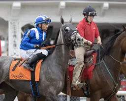 Walsh sends three new faces in bid for Dowager repeat