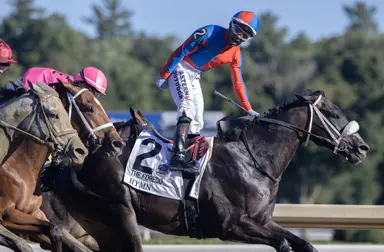Hymn tenaciously digs in to hold troops at bay in Forego Stakes