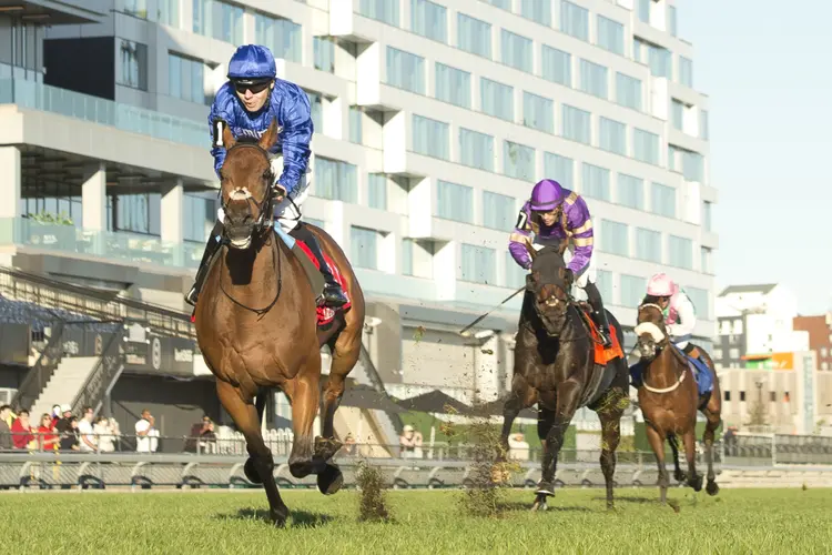Arabian Crown01.10-23-2026.MB