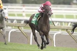 Breeders' Cup Juvenile Turf: Connections hopeful Canada can get a spot in field
